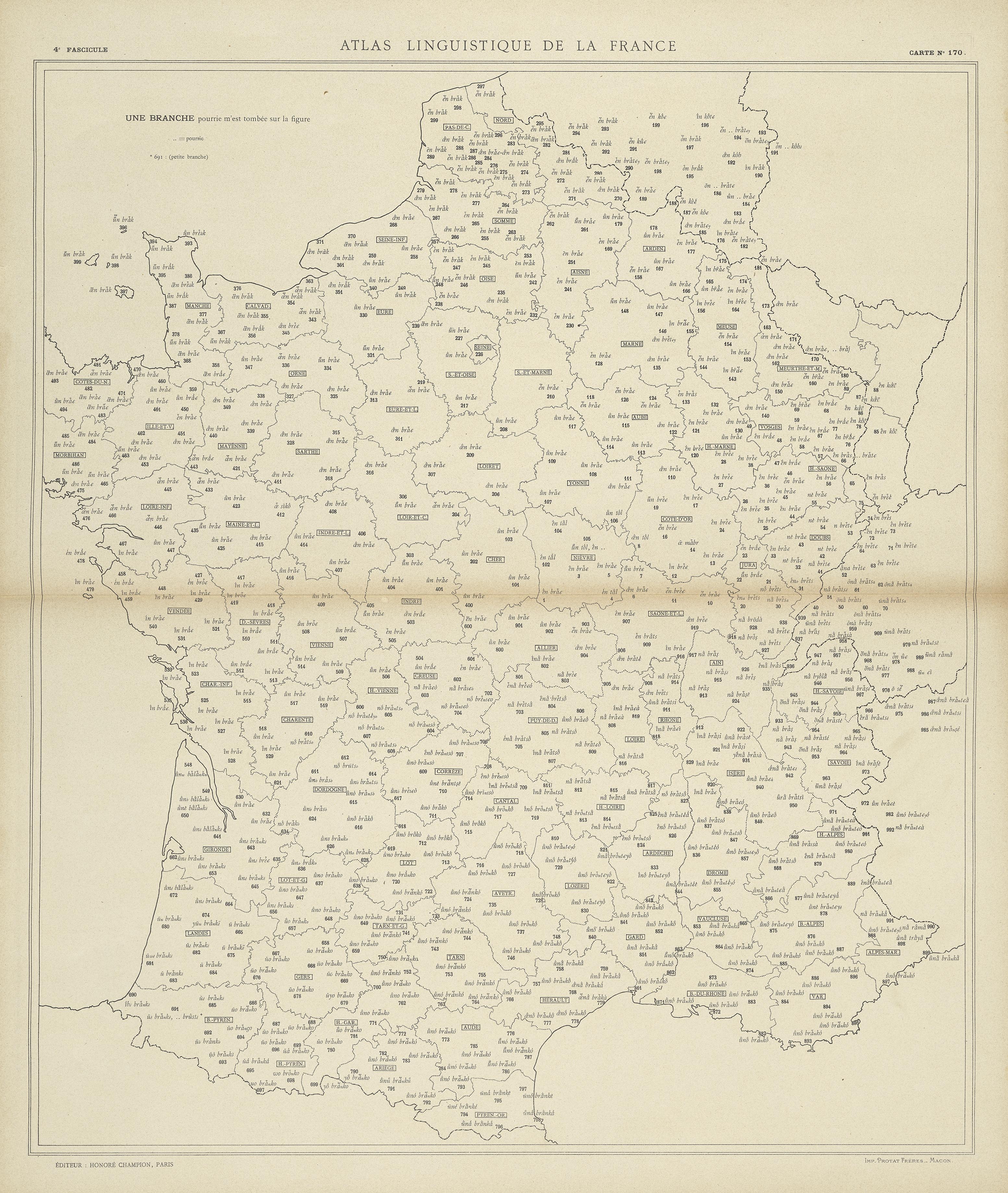 carte alf 170 du segment Une branche