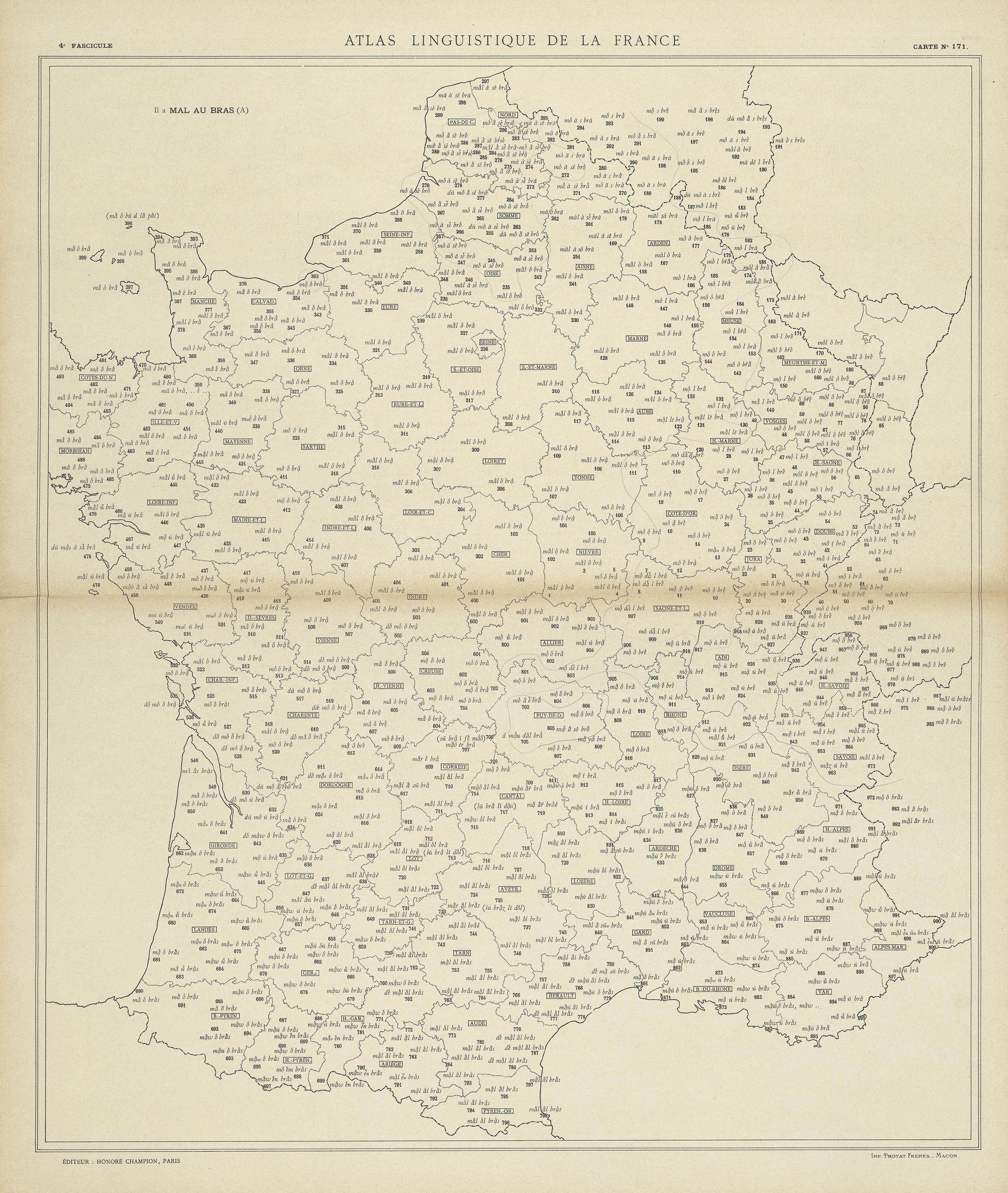 carte alf 171 du segment mal au bras.
