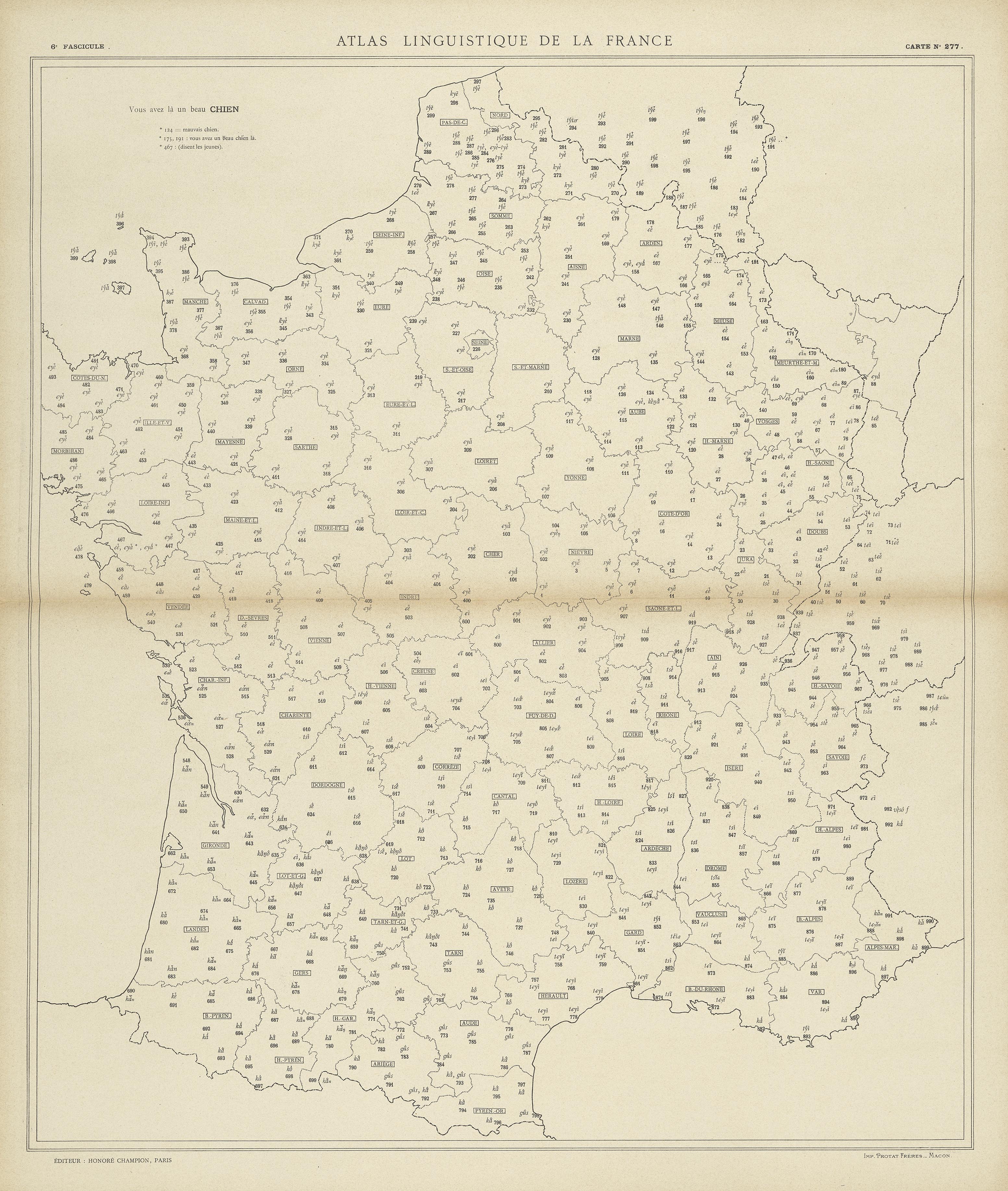 carte alf 277 du segment chien.