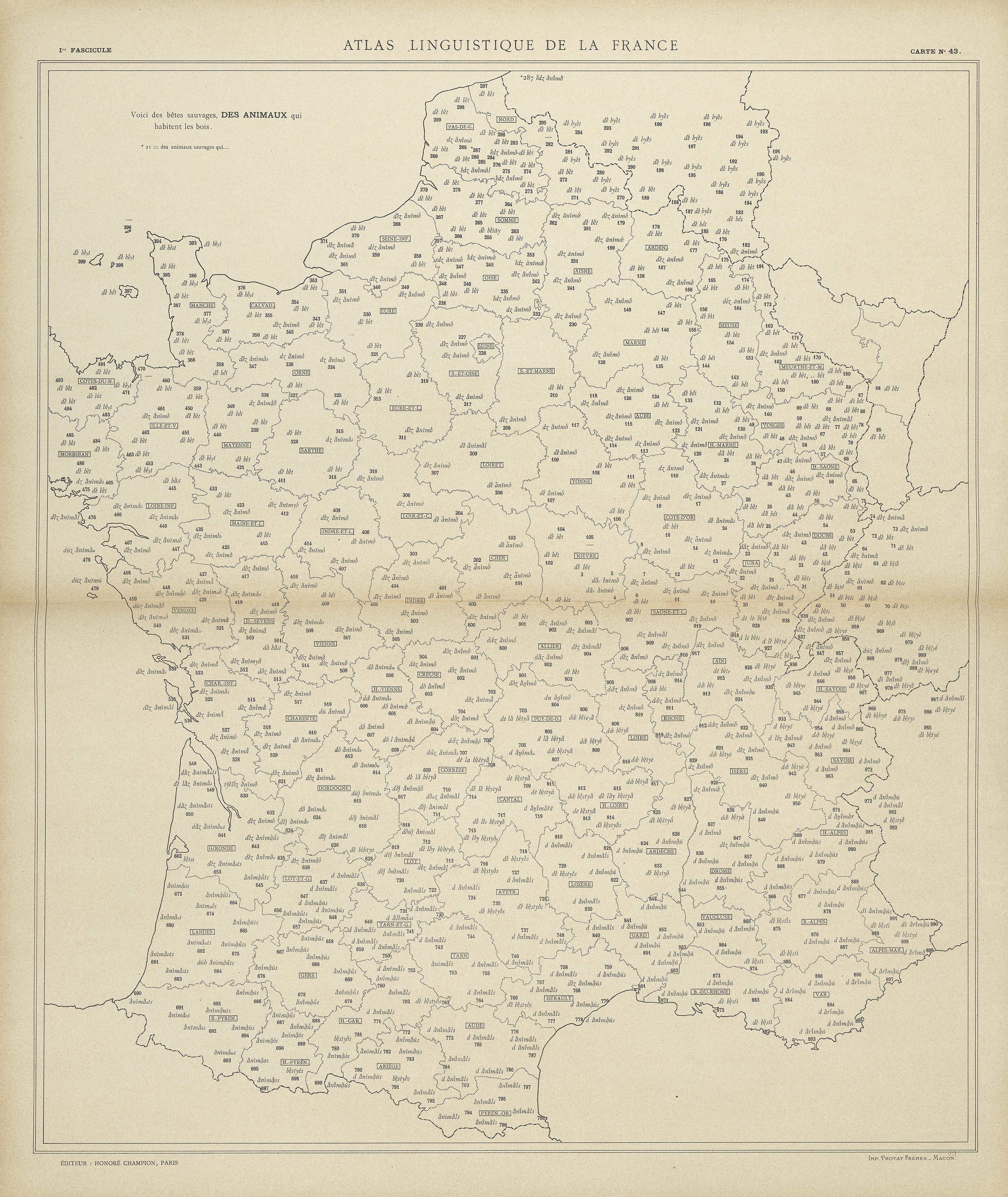 carte alf 43 du segment des animaux