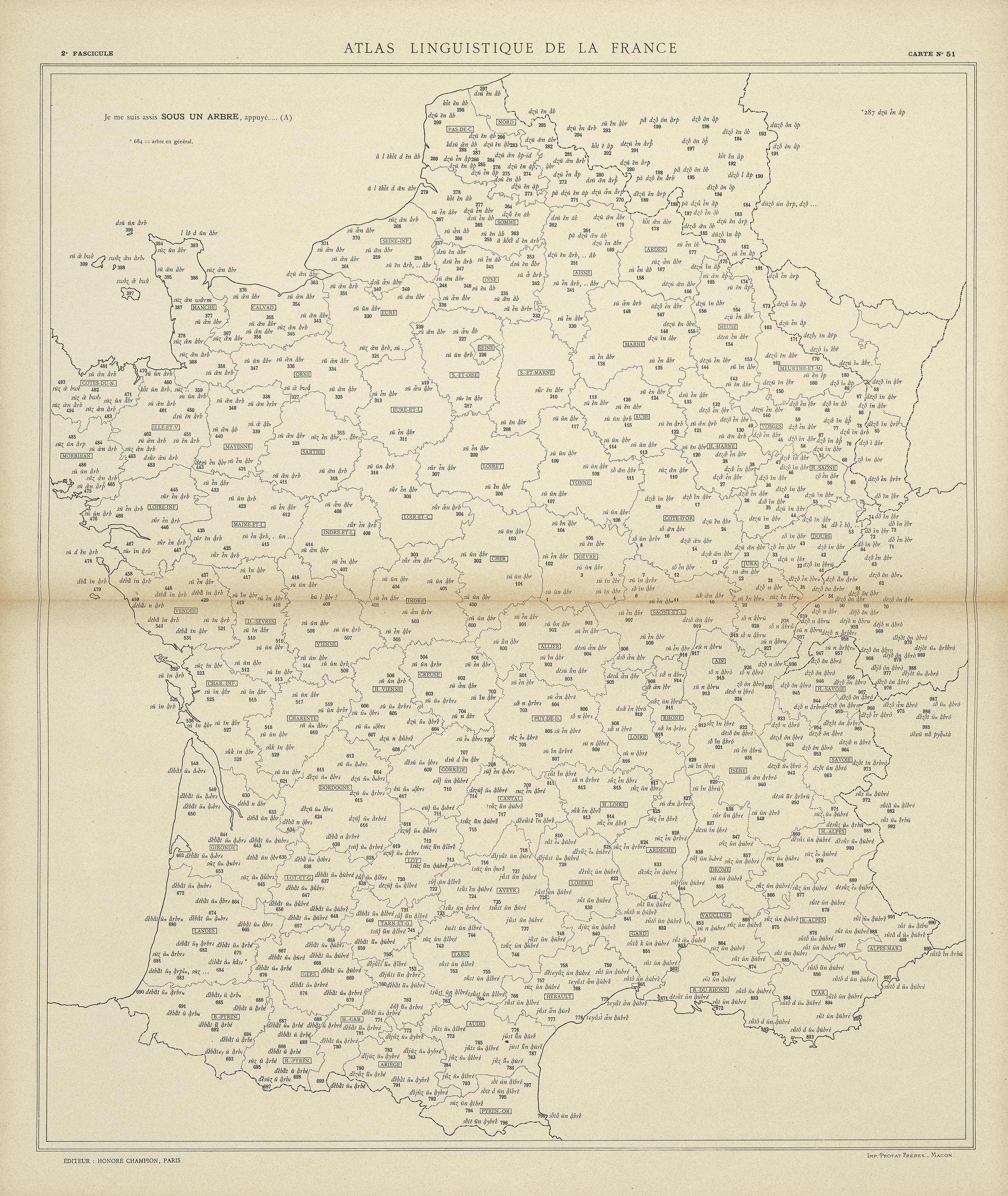 carte alf 51 du segment sous un arbre,