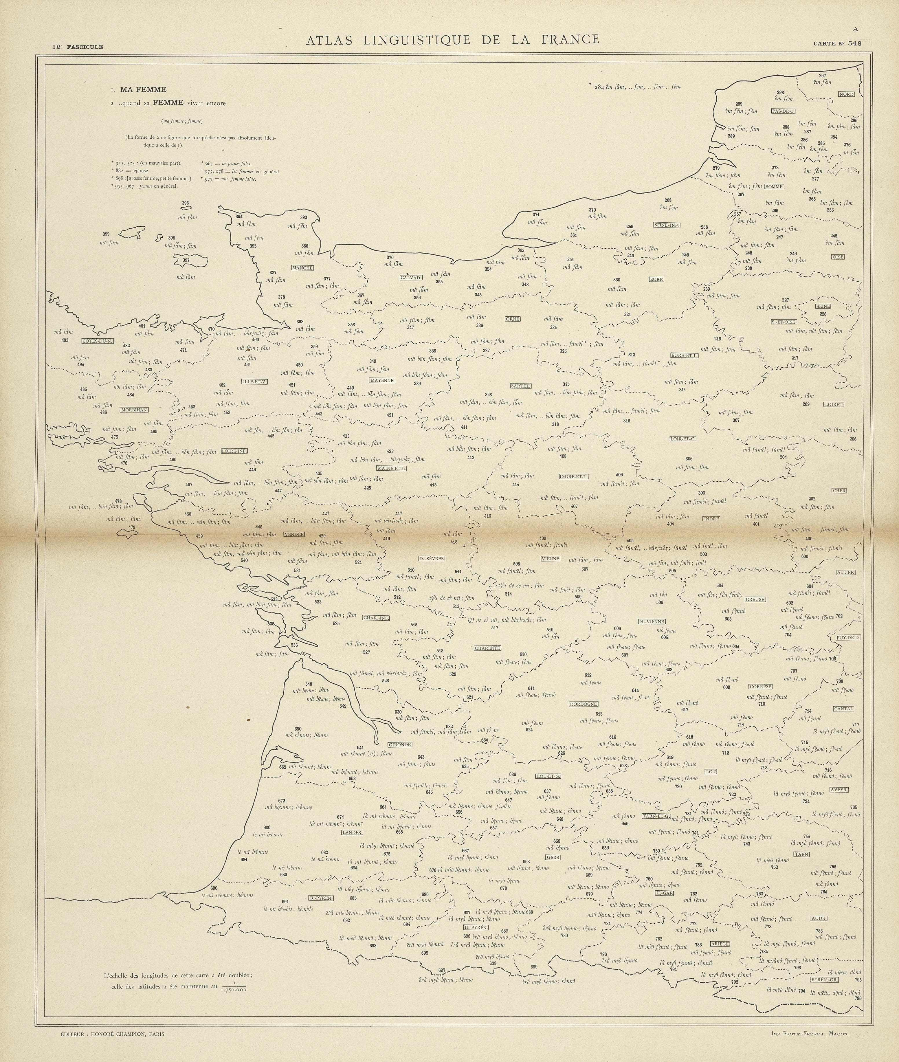 carte alf 548 du segment femme