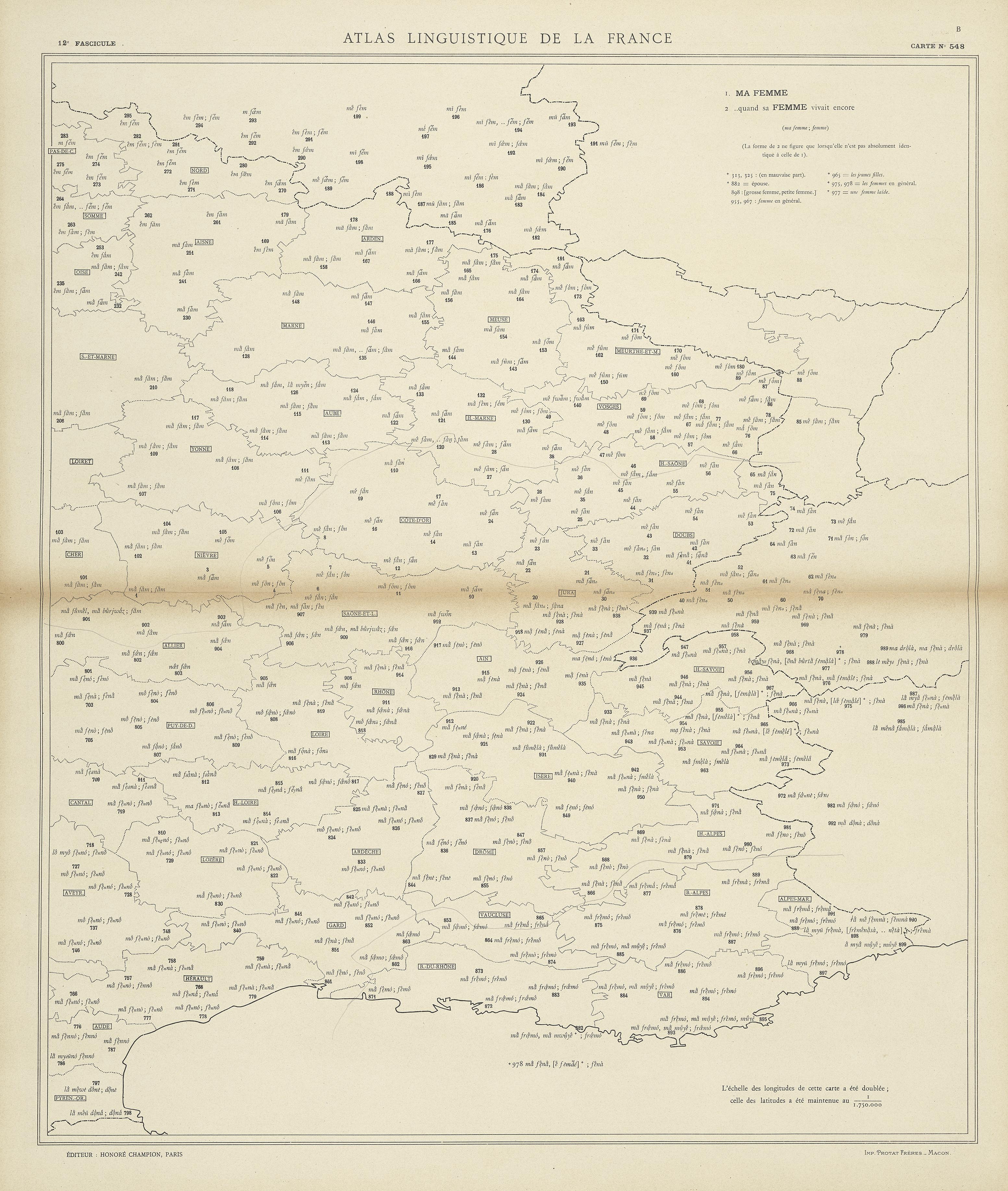 carte alf 548B du segment femme