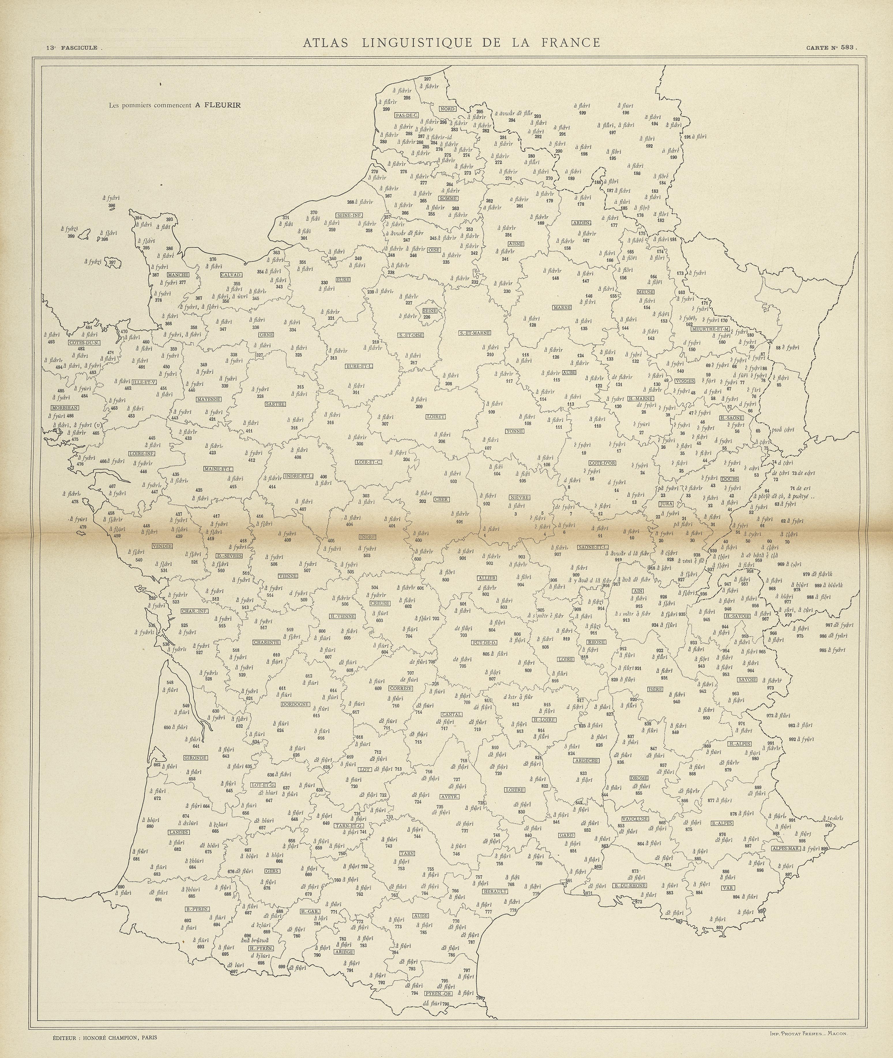 carte alf 583 du segment à fleurir,