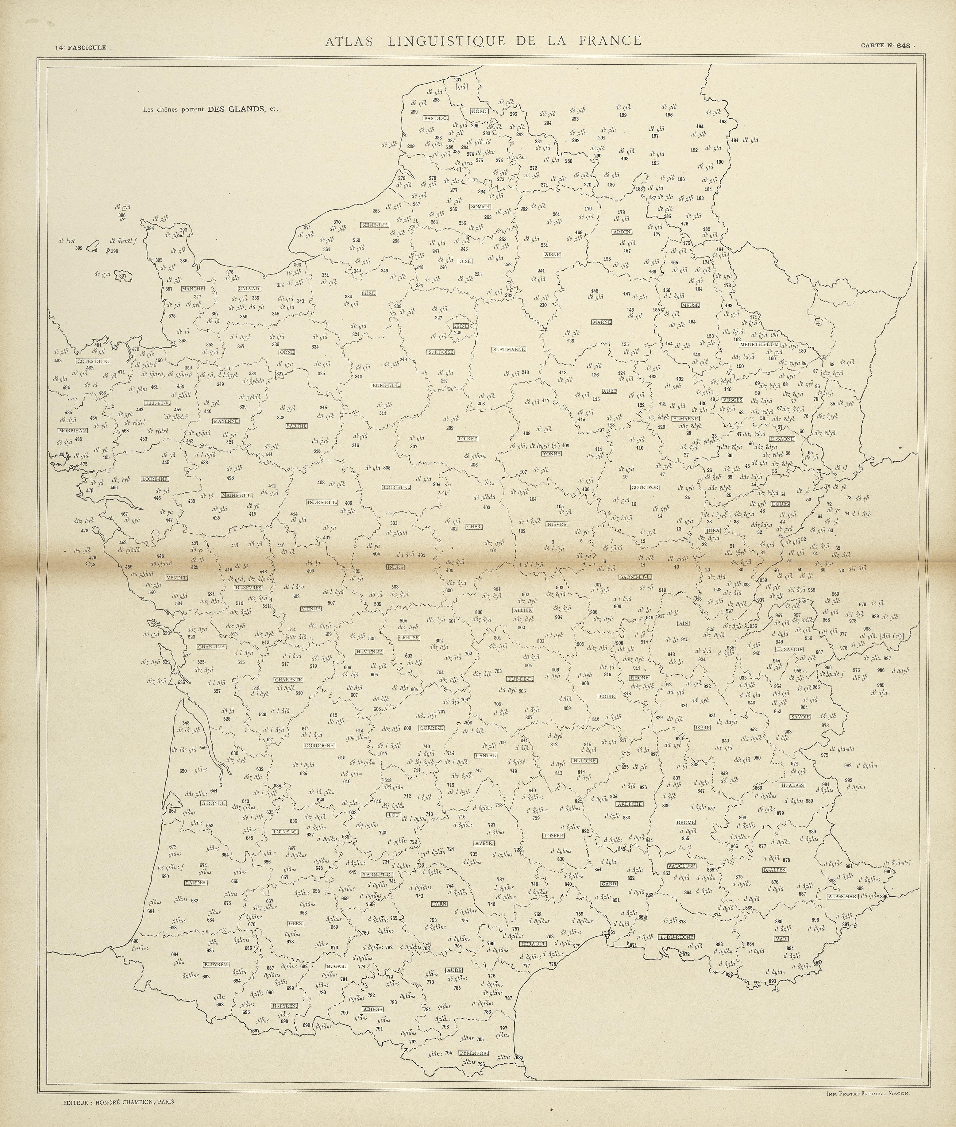 carte alf 648 du segment des glands,
