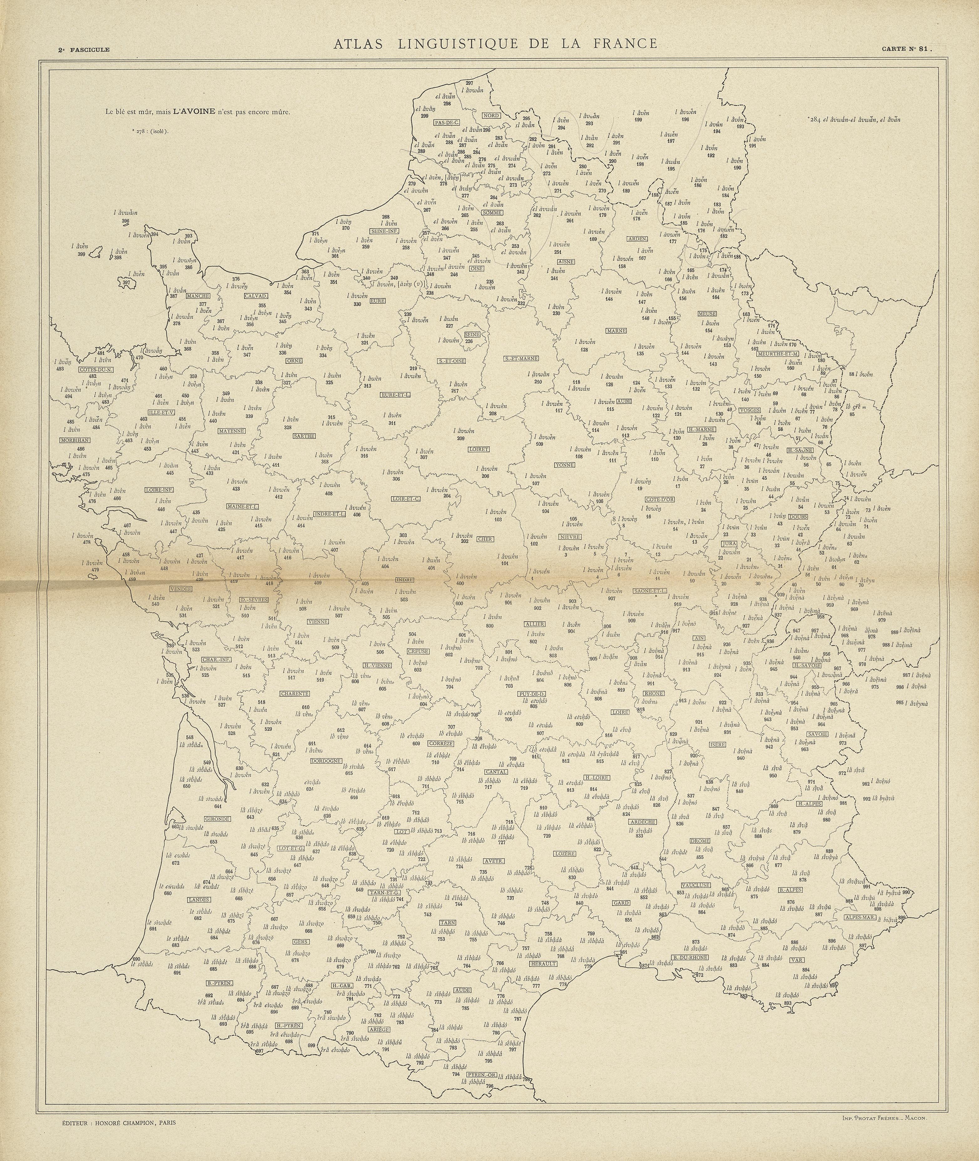 carte alf 81 du segment l'avoine