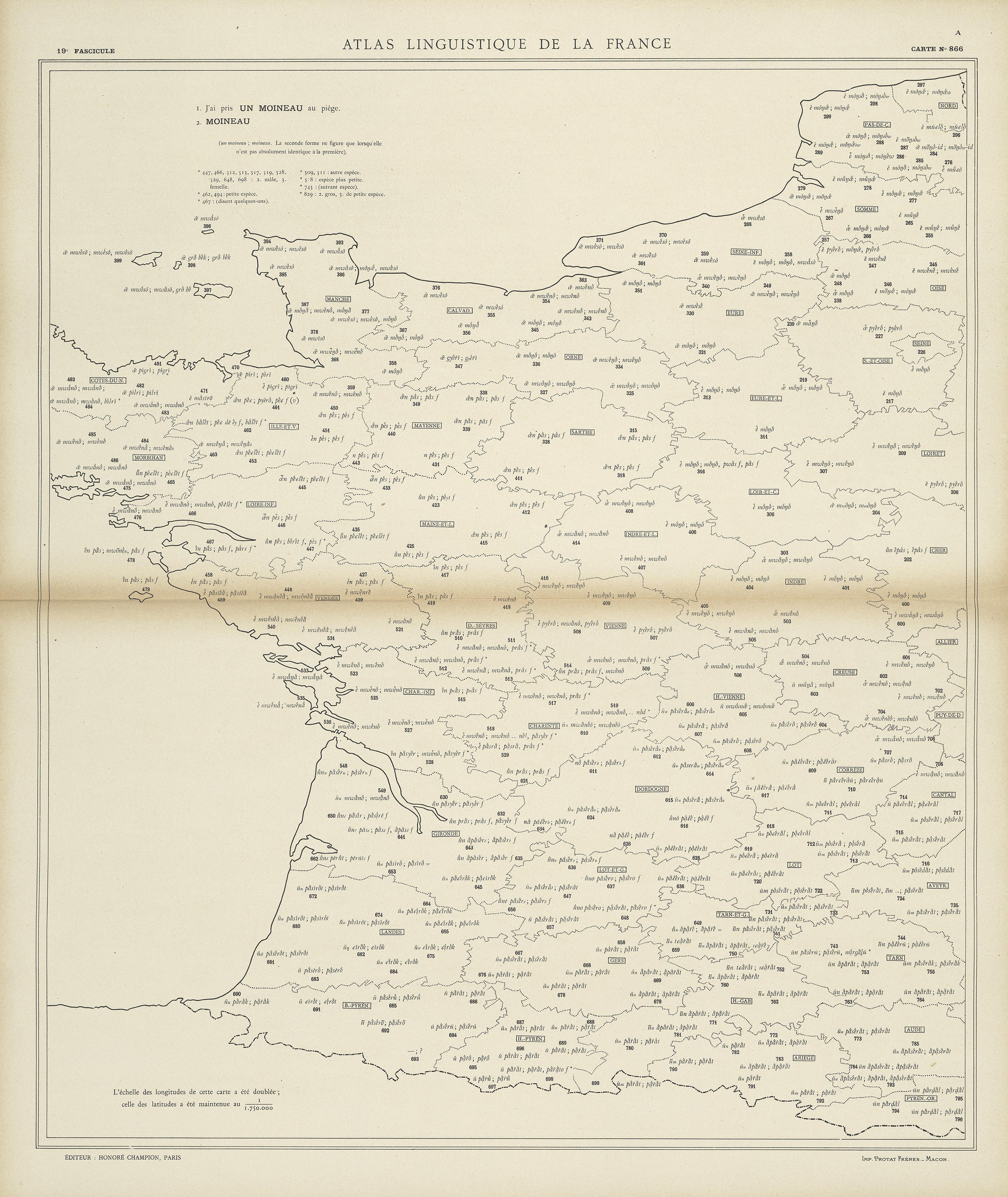 carte alf 866 du segment un moineau