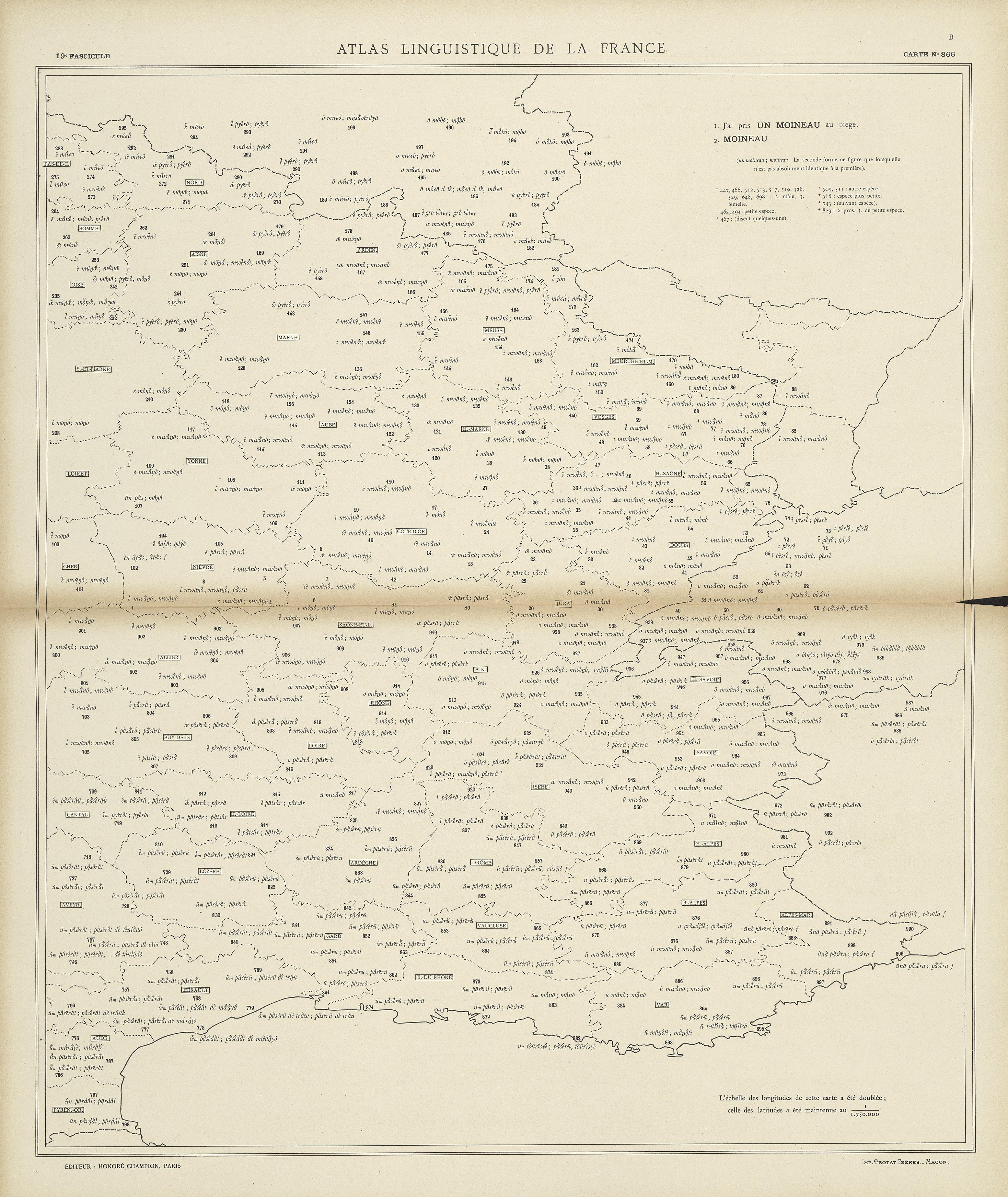 carte alf 866B du segment un moineau