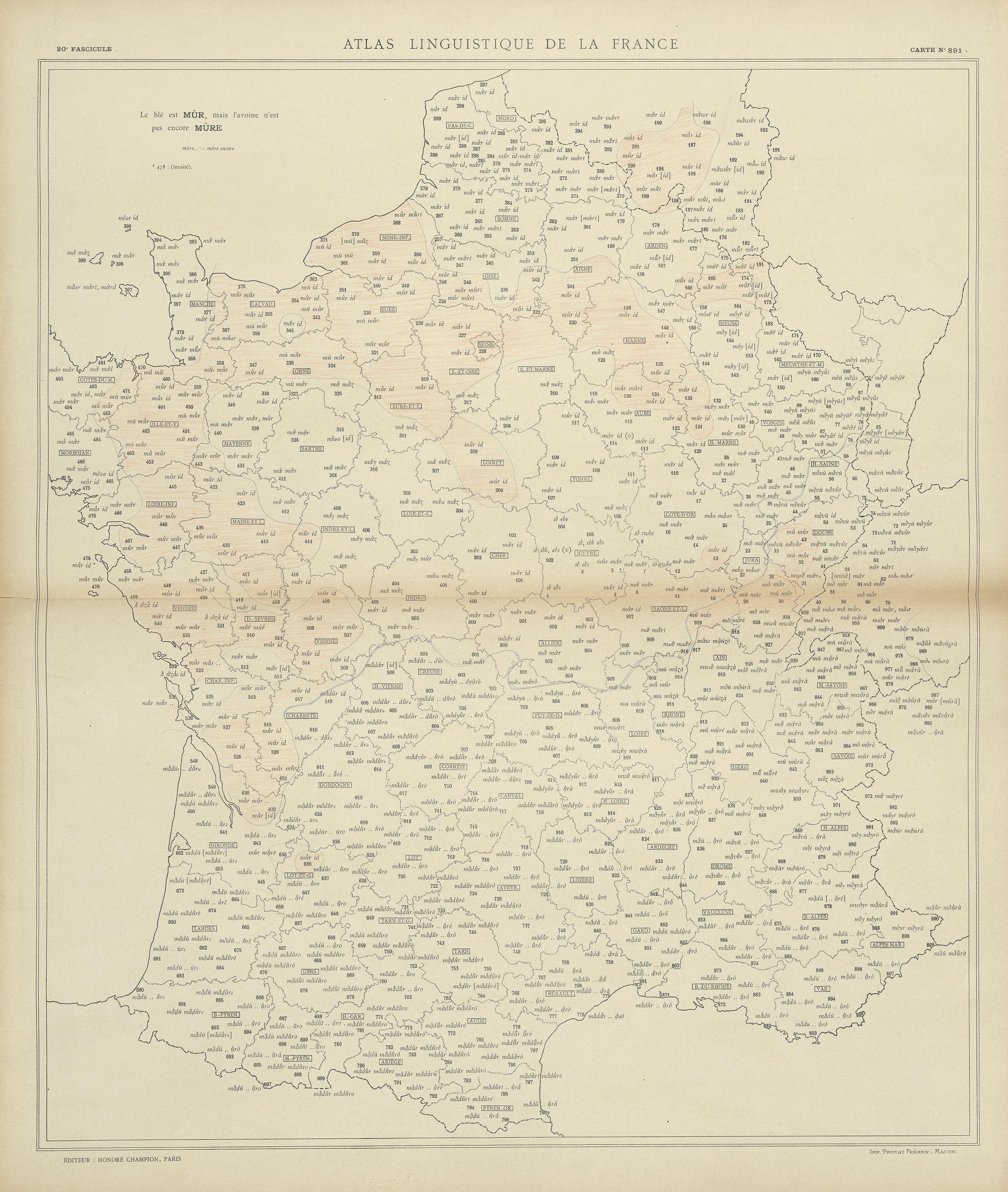 carte alf 891 du segment mûre.
