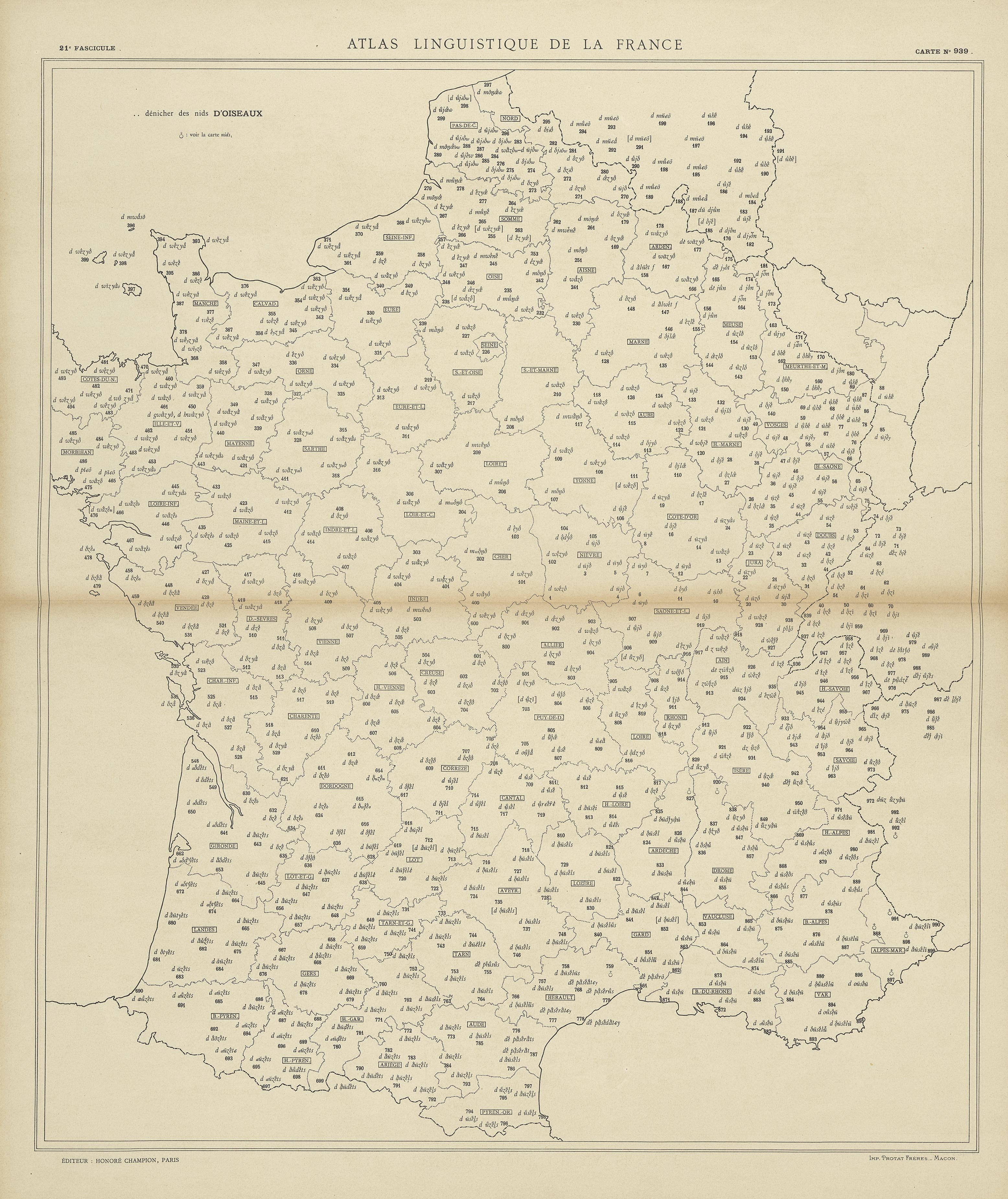 carte alf 939 du segment d'oiseaux.